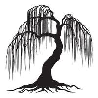 A willow tree with visible root illustration in black and white vector