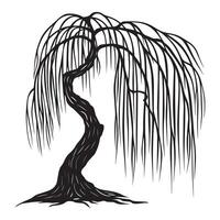 A willow tree with visible bark texture illustration in black and white vector