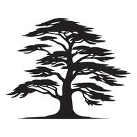 A wide cedar tree illustration in black and white vector