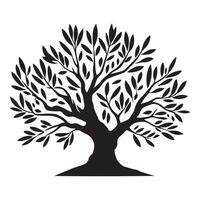 olive tree plant illustration in black and white vector