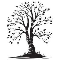 A birch tree in autumn illustration in black and white vector
