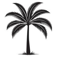 A palm tree in a tall illustration in black and white vector