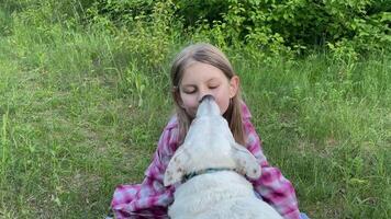 A child with a dog in nature video