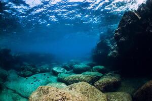 tranquilo submarino escena con Copiar espacio. tropical transparente Oceano con rock y Roca foto
