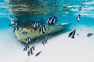 Crystal ocean with wreck of boat on sandy bottom and school of tropical fish, underwater in Mauritius photo