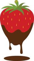 Chocolate Dipped Strawberries. Soft and Tasty Food. Isolated on White Background vector