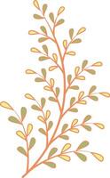 Floral Botanical Branch Illustration. Hand Drawn Flower Design Isolated on White Background vector