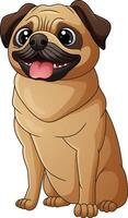 Cute pug dog cartoon isolated on white background vector