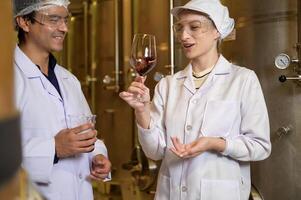 profesional enólogo controlador vino haciendo proceso y calidad a lagar fábrica foto