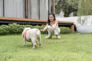 Happy asian woman playing with Cute Smart pug Puppy Dog In the Backyard photo