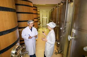 Professional winemaker controlling wine making process and quality at winery factory photo