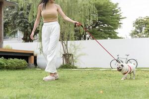 contento asiático mujer jugando con linda inteligente doguillo perrito perro en el patio interior foto