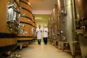 Professional winemaker controlling wine making process and quality at winery factory photo