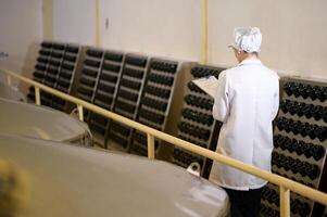 Professional winemaker controlling wine making process and quality at winery factory photo