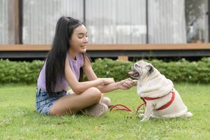 Happy asian woman playing with Cute Smart pug Puppy Dog In the Backyard photo