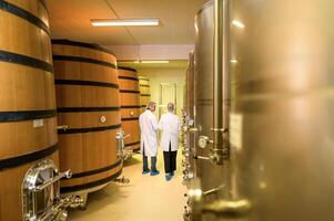 Professional winemaker controlling wine making process and quality at winery factory photo