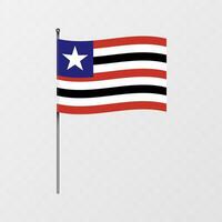 Maranhao flag on flagpole. illustration. vector