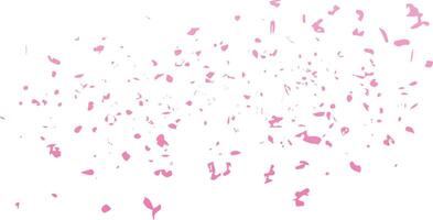 splashes and small fragments of pink cherry blossoms. vector