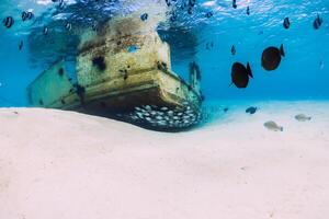 Tropical ocean with wreck of boat on sandy bottom and school of fish, underwater in Mauritius photo