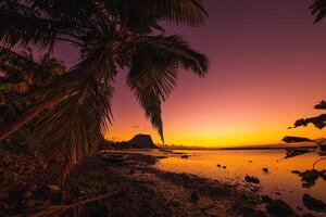 Fishing boat and coconut palm at sunset time. Le Morn mountain in Mauritius. photo