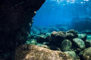 Tranquil underwater scene with copy space. Tropical transparent sea photo