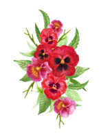 Watercolor bouquet pansy flower colorful peal bud png