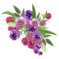 aquarelle bouquet pensée fleur coloré carillonner bourgeon png