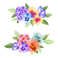 Watercolor bouquet pansy flower colorful peal bud png