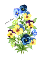 Watercolor bouquet pansy flower colorful peal bud png