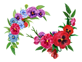 Watercolor bouquet pansy flower colorful peal bud png