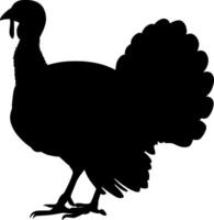 Turkey bird silhouette illustration vector