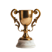 trofee geïsoleerd Aan transparant achtergrond png