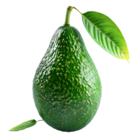 Avocado fruit isolated on transparent background png