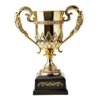 Trophy isolated on transparent background png