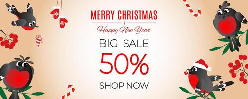 Happy new year and Merry Christmas sale banner with cute, funny family of bullfinches. vector