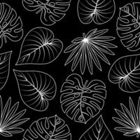 Seamless pattern with hand drawn monstera, palm tropical leaves on black background. vector