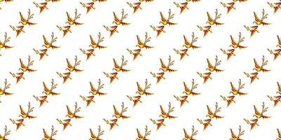 Expandable Pattern of Birds, Fish and pets Decoration vector