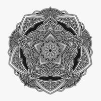 hermosa floral modelo mandala Arte aislado en un negro antecedentes - eps 10 vector