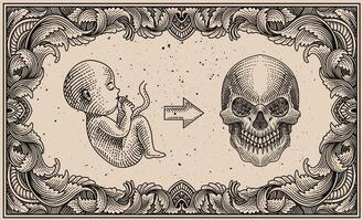 ilustración nacido a morir, feto y cráneo en grabado ornamento marco - eps 10 vector