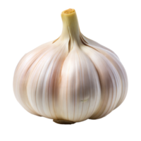 White Garlic on Transparent Background png