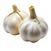 Two White Garlics on Transparent Background png