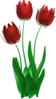 3D flowers red png