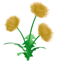 3d flores diente de león amarillo png