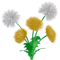 3d flores diente de león amarillo blanco png