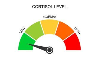 Cortisol meter gauge. Body stress response levels. Round chart with arrow from low to high vector