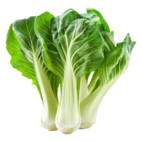 Fresh pak choy isolated on transparent background png