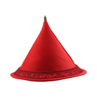 sultán sombrero aislado en transparente antecedentes png