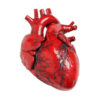 rosso cuore forma isolato su trasparente sfondo png