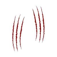 Scratch claw blood mark. Wild animal, monster or dinosaur talons trace. Red sharp torn edges texture isolated on white background. Scary horror symbol. Laceration print vector