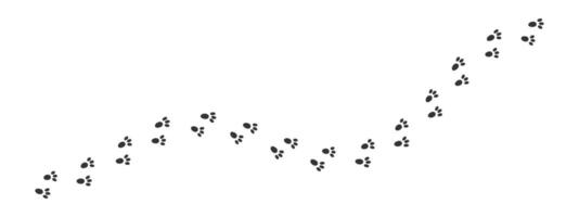 Bunny wet or mud pawprints. Hare feet steps. Rabbit paw silhouettes stamps. Trace of running or walking animal vector